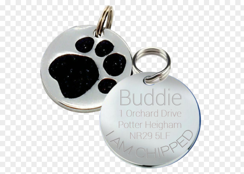 Dog Collar Pet Tag Paw PNG