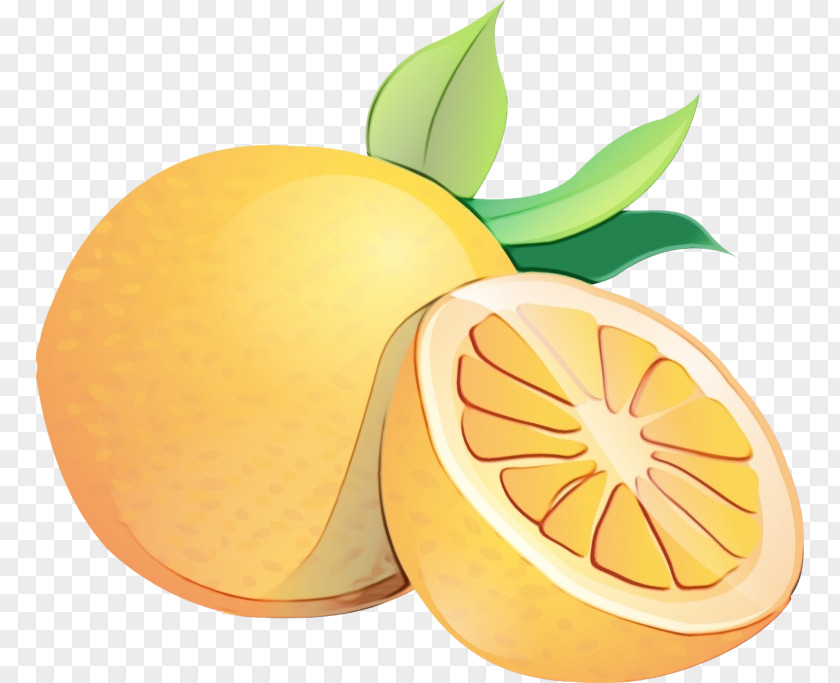 Orange PNG