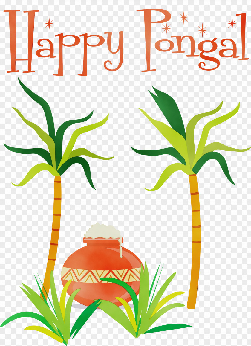 Palm Trees PNG