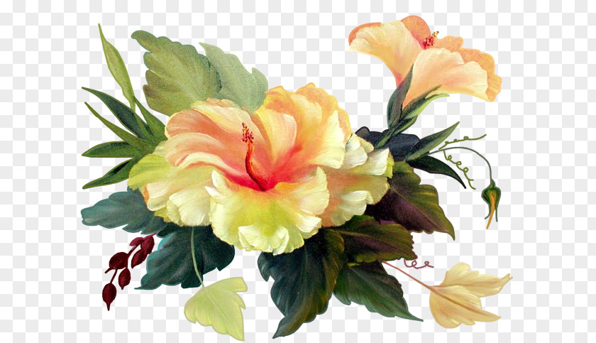 Bouquet Hibiscus Flower Blume Bokmxe4rke Clip Art PNG