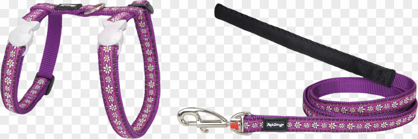 Cat Leash Dingo Dog Collar PNG