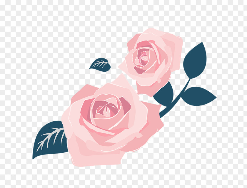 Design Garden Roses International Women's Day Centifolia PNG