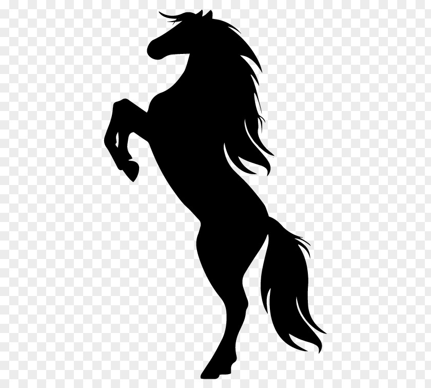 Horse Rearing Silhouette Drawing PNG