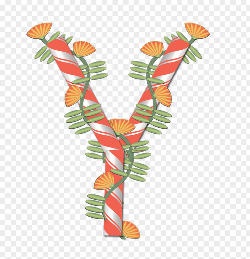 Leaf PNG