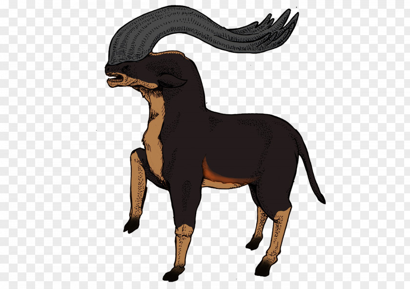 Mustang Stallion Pony Dog Rein PNG