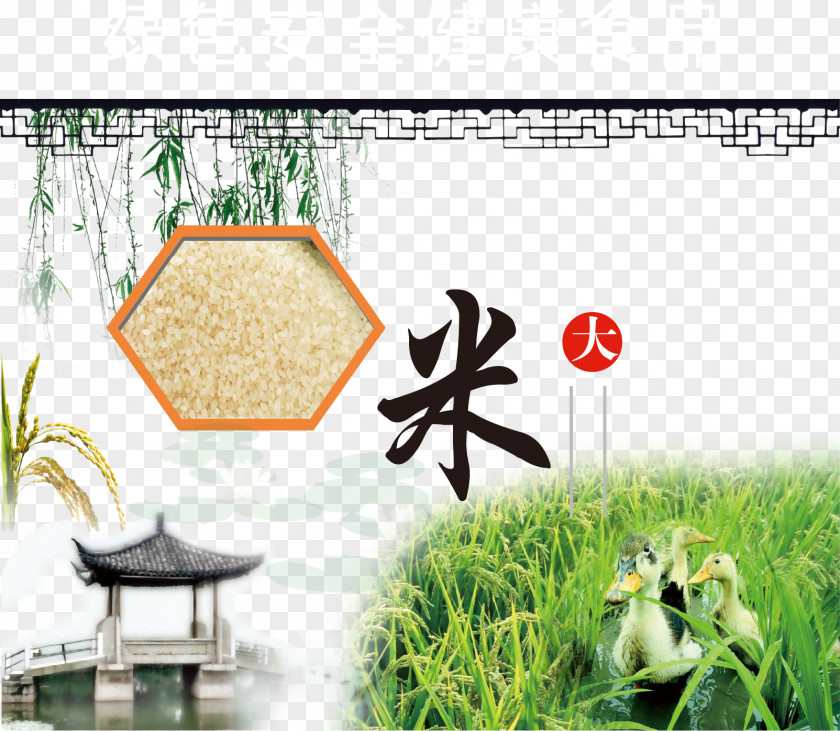 Rice Packaging Image Vector Elements PNG
