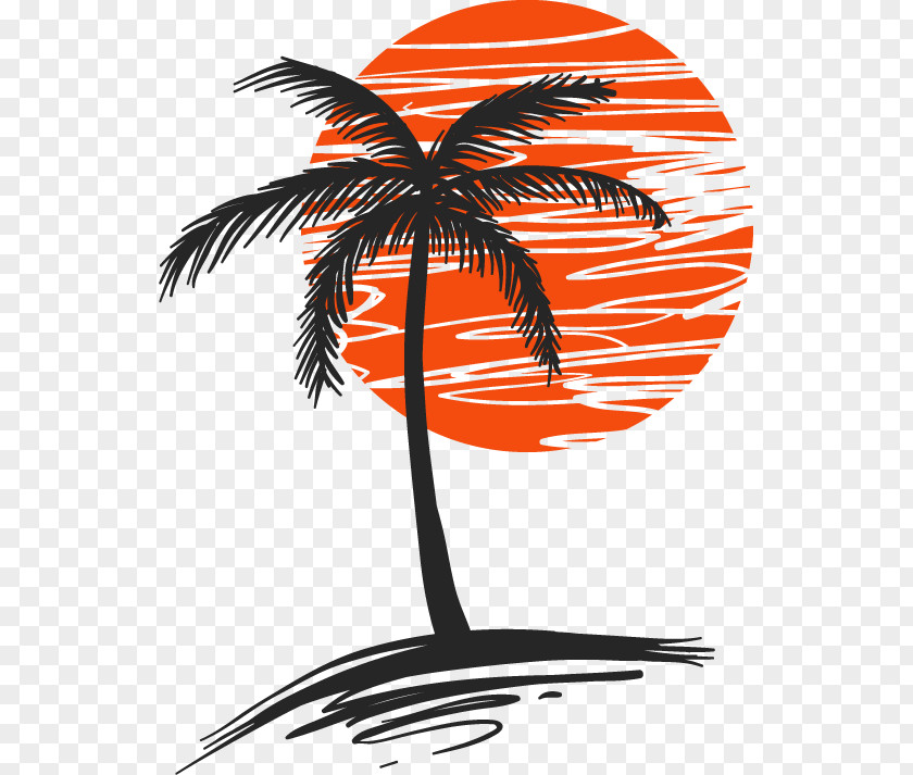 Tree Arecaceae Clip Art PNG