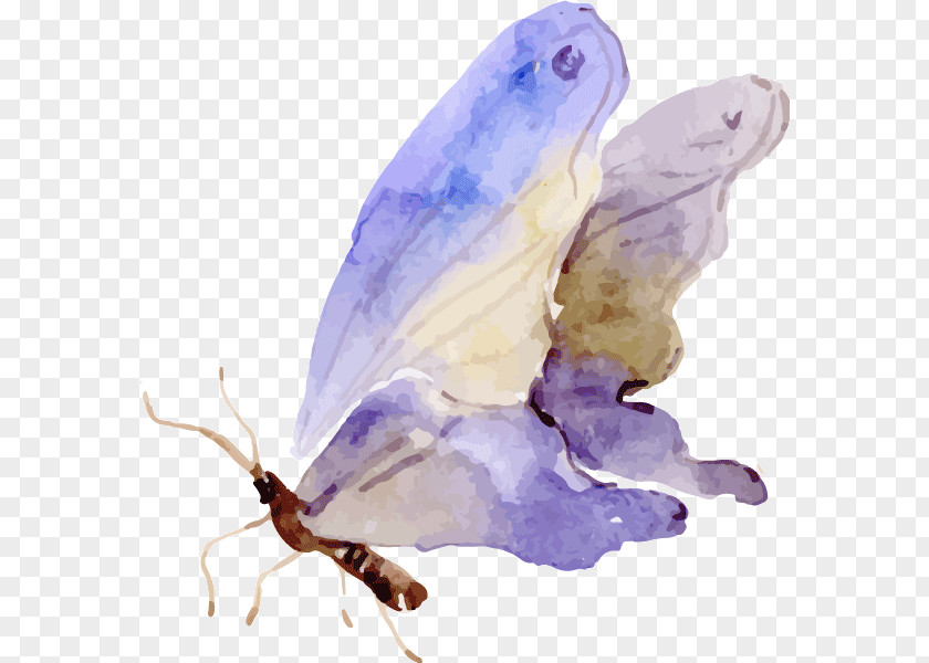Butterfly Watercolor Painting Clip Art PNG