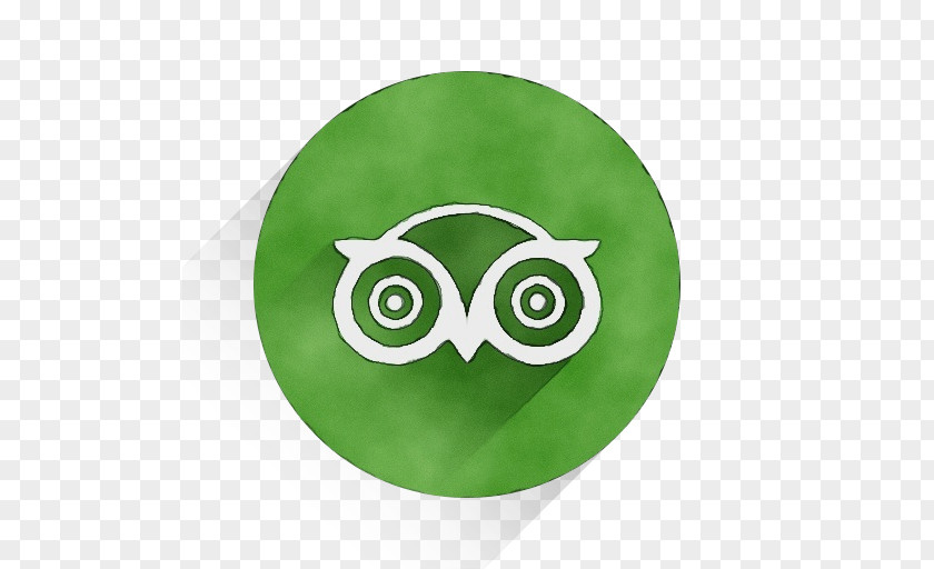 Dishware Symbol Owl Green Plate Bird Of Prey PNG