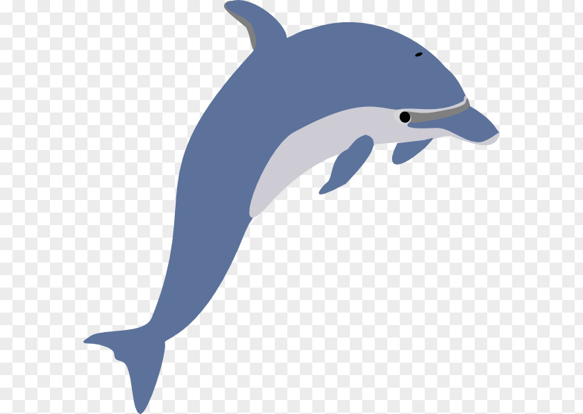 Dolphin Cartoon Short-beaked Common Bottlenose Clip Art PNG