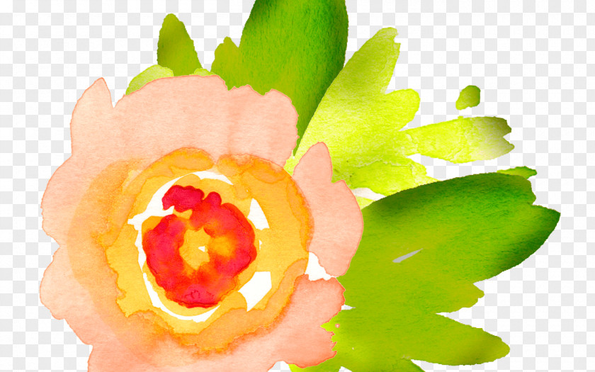 Knicks Sign Clip Art Watercolor Painting Watercolour Flowers Watercolor: Free Content PNG