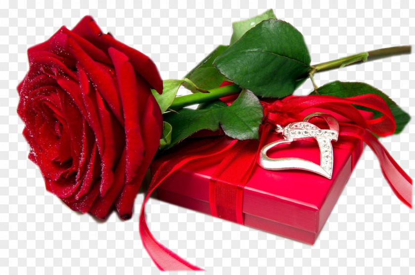 Beautiful Gift Desktop Wallpaper Flower Love Romance PNG
