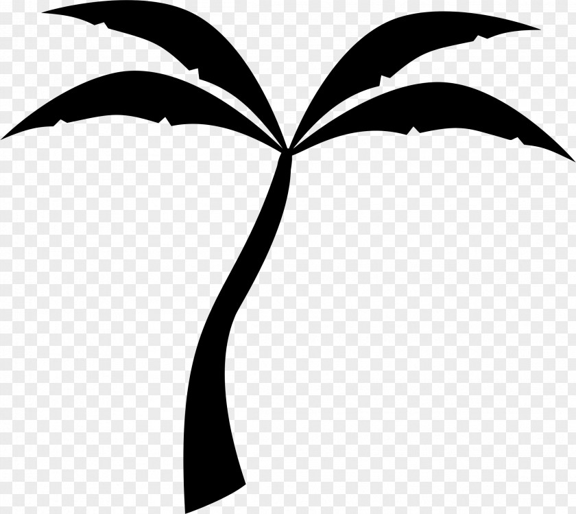 Date Palm Arecaceae Silhouette Clip Art PNG