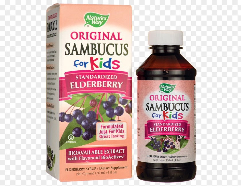 Elderberries Elderberry Flavor Nature Extract Ounce PNG
