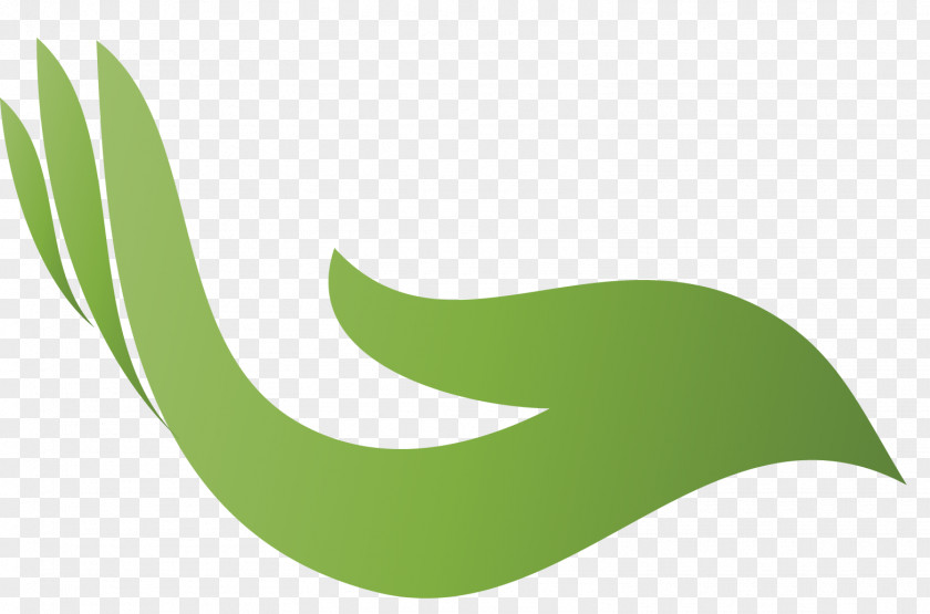 Pilipino Flag Logo Leaf Font Product Design PNG