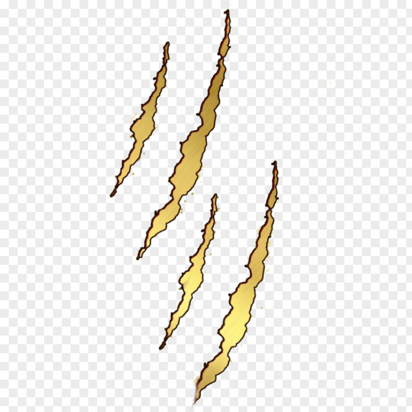 Claw Scratch Download PNG