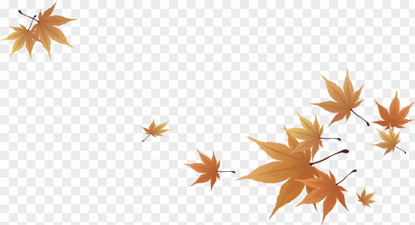 Leaves Shading Maple Leaf PNG