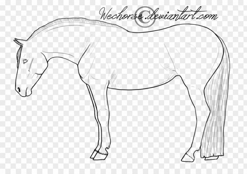 Lineart Line Art American Quarter Horse Paint Pony Foal PNG