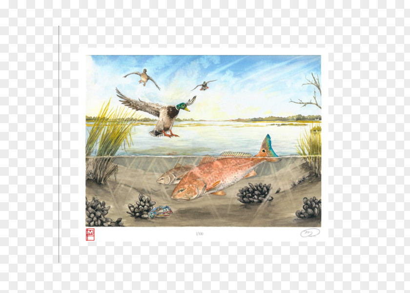 Painting Watercolor Artist Shore PNG