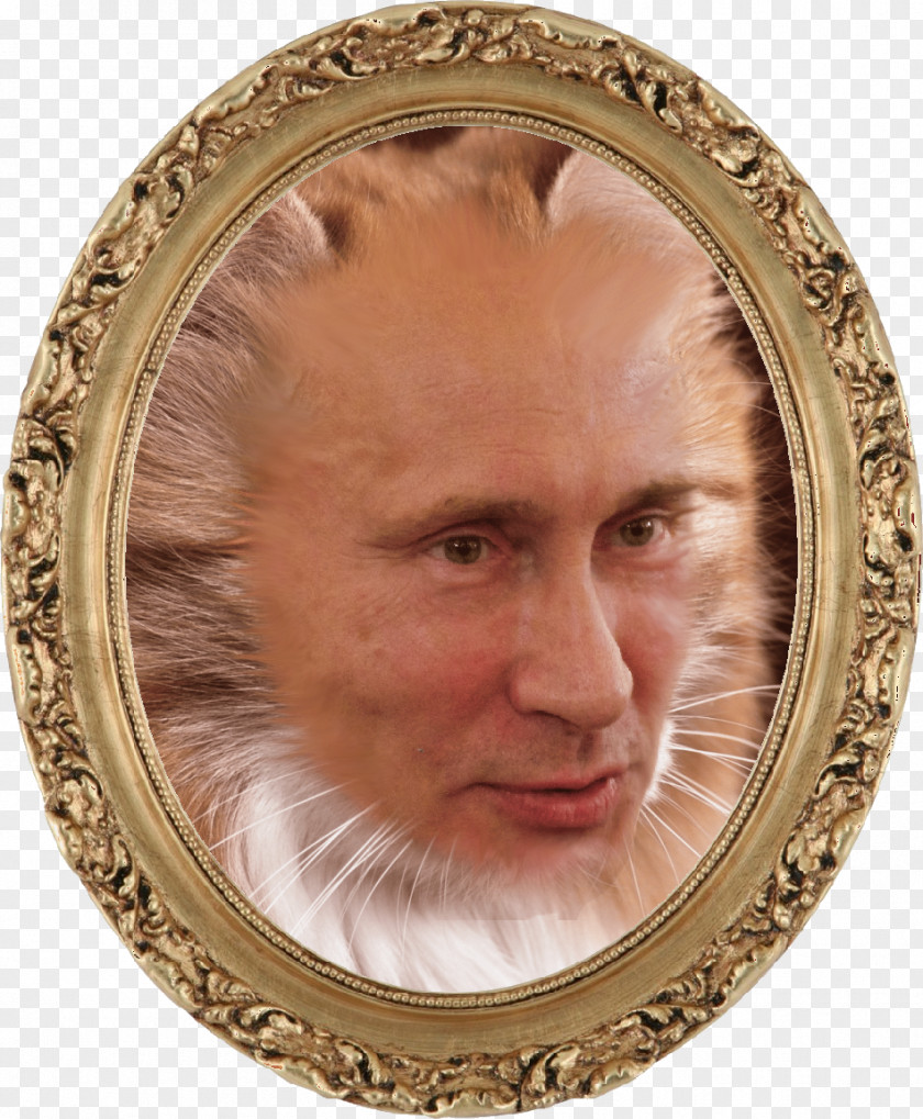 Putin Face William Shakespeare Poetry Video Import DVD PNG