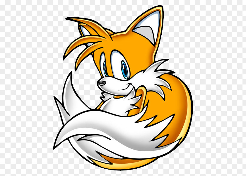 Tails Knuckles The Echidna Amy Rose Sonic Adventure 2 PNG