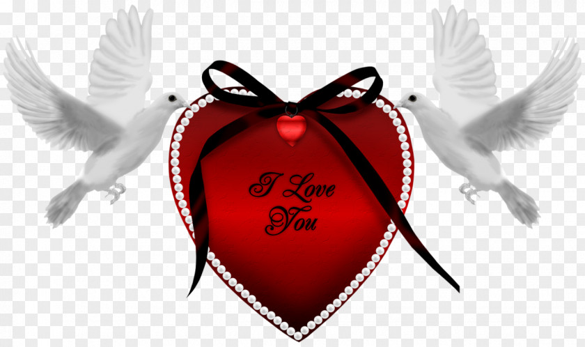 Bay Single Life Heart Love Valentine's Day Friendship PNG
