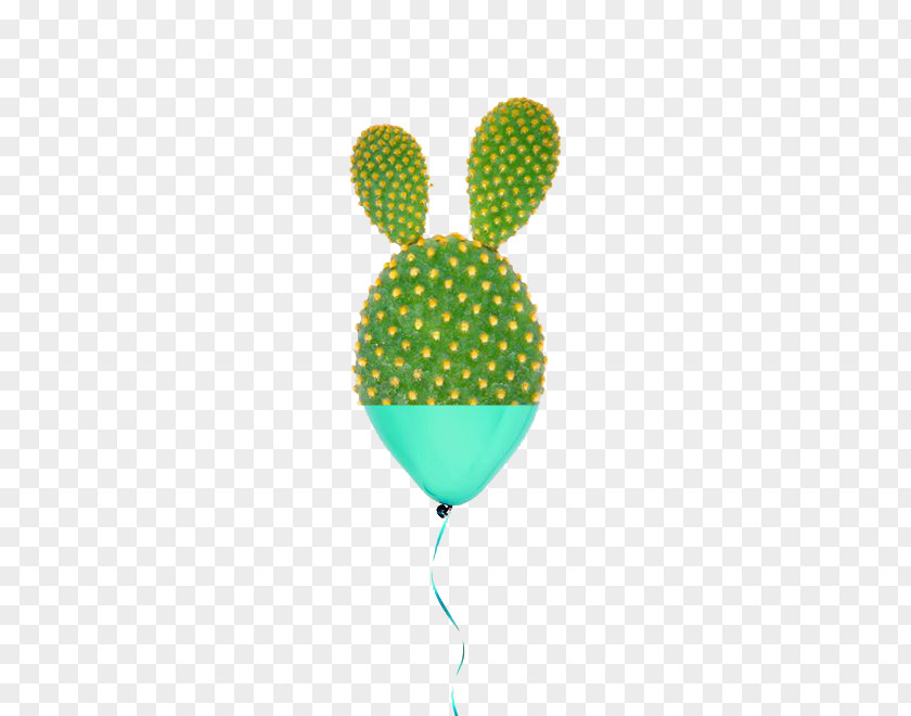 Cactus Balloon Barbary Fig Cactaceae Green PNG