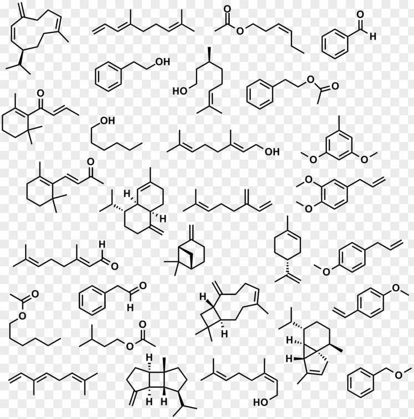 Characterization IUPAC Nomenclature Of Organic Chemistry International Union Pure And Applied Chemical PNG