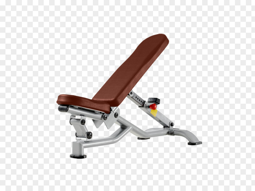 Fitness Ads Bench Panca Scott Weightlifting Machine Dumbbell Physical PNG