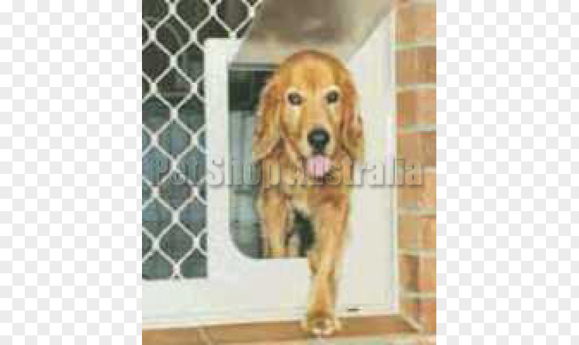 Golden Retriever English Cocker Spaniel Window Screens Pet Door PNG