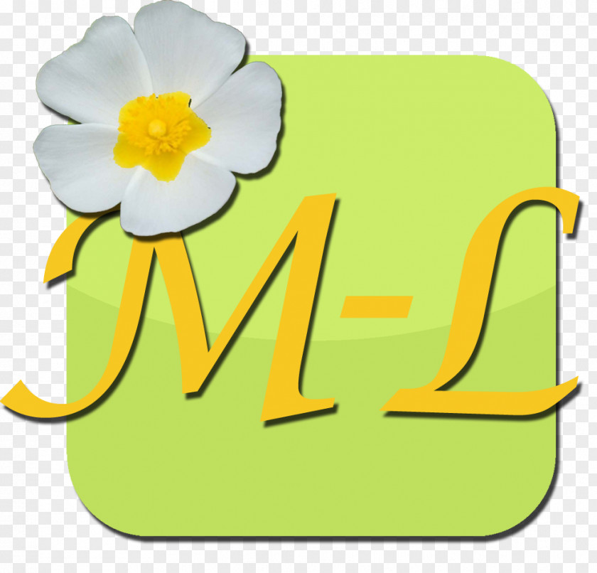 Line Material Flowering Plant Clip Art PNG