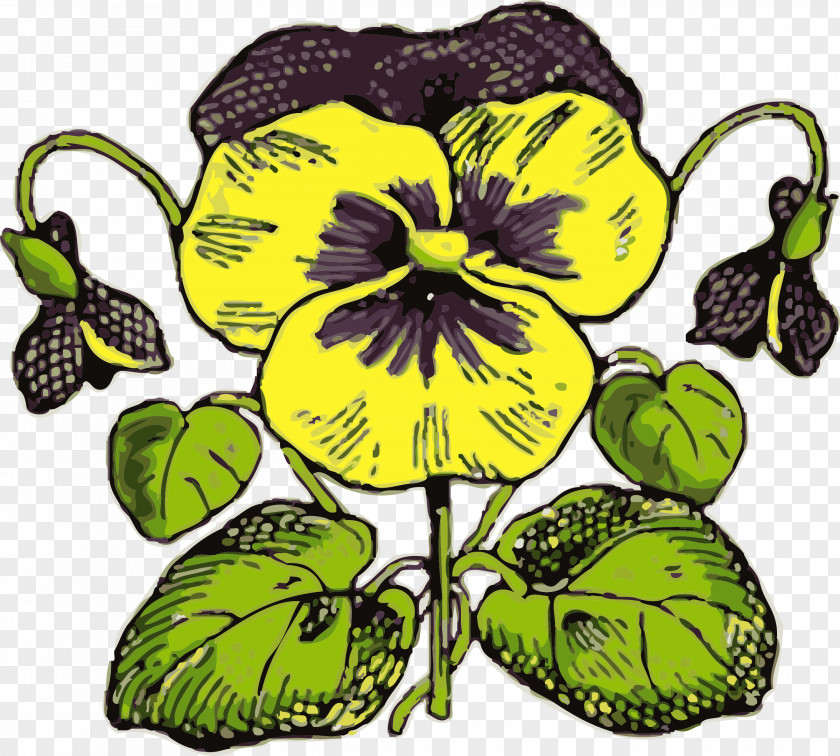 Pansy Clip Art PNG