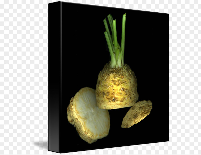 Vegetable Still Life Photography PNG