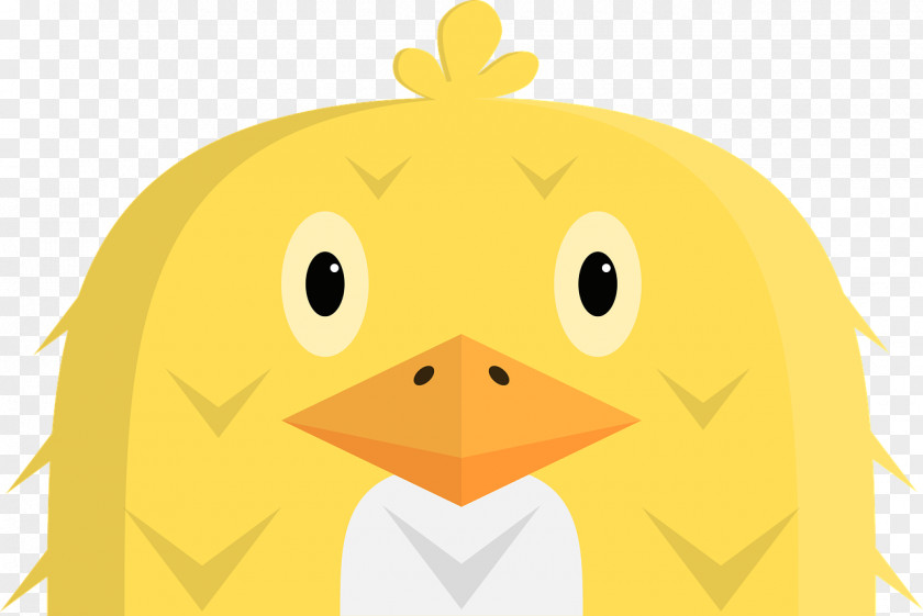 Chicken Duck Image Illustration Vector Graphics PNG