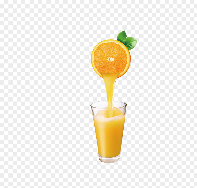 Orange Juice Drink Fruit Preserves Food Taste PNG