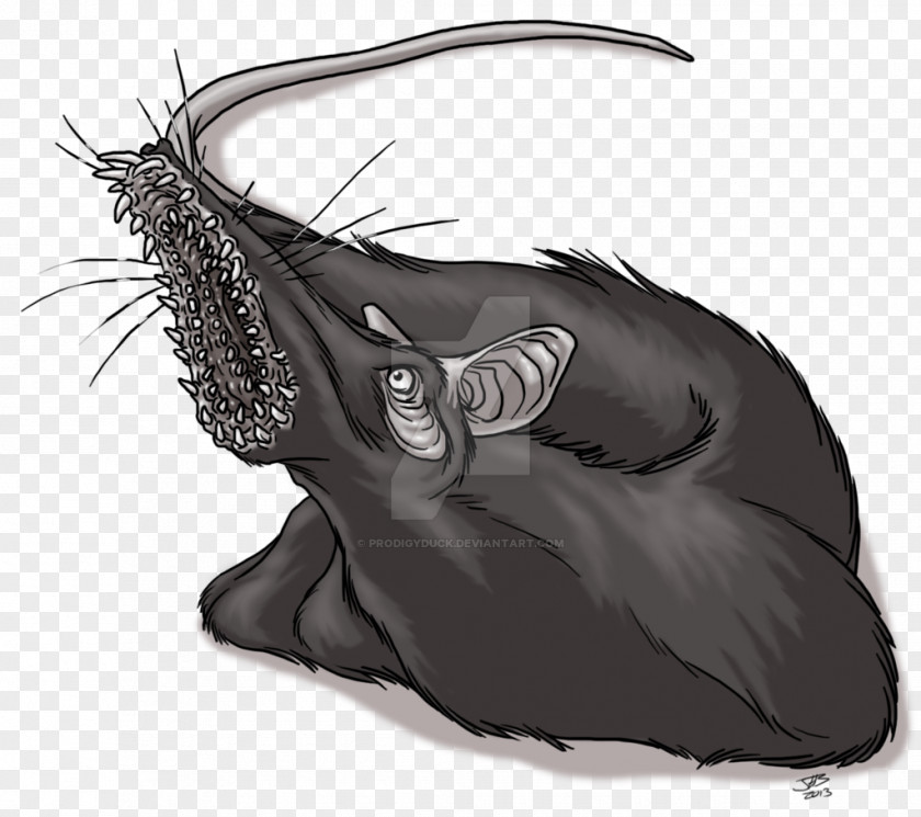Rat & Mouse Dire Animal Leech Drawing PNG