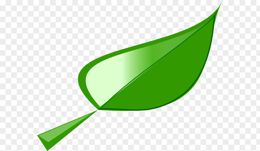 Fig Cliparts Leaf Lettuce Clip Art PNG