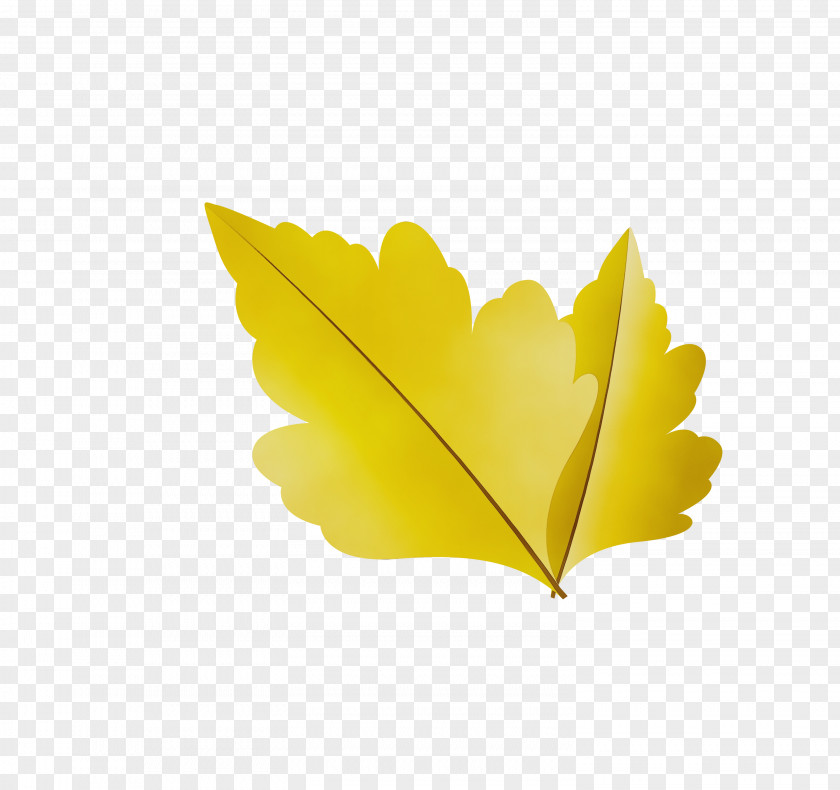 Leaf Yellow M-tree Meter Tree PNG