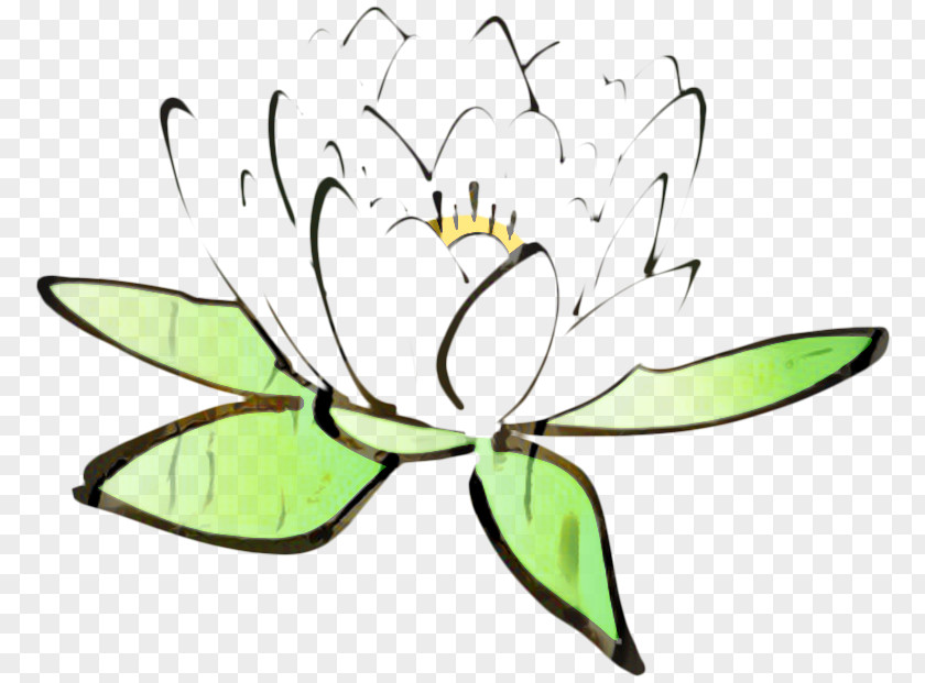 Proteales Pedicel White Lily Flower PNG