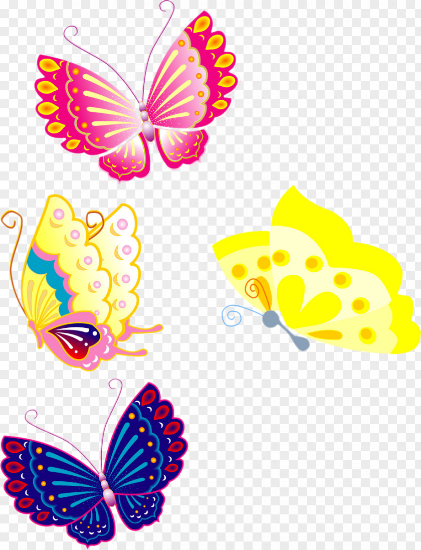 Colorful Butterfly Color PNG