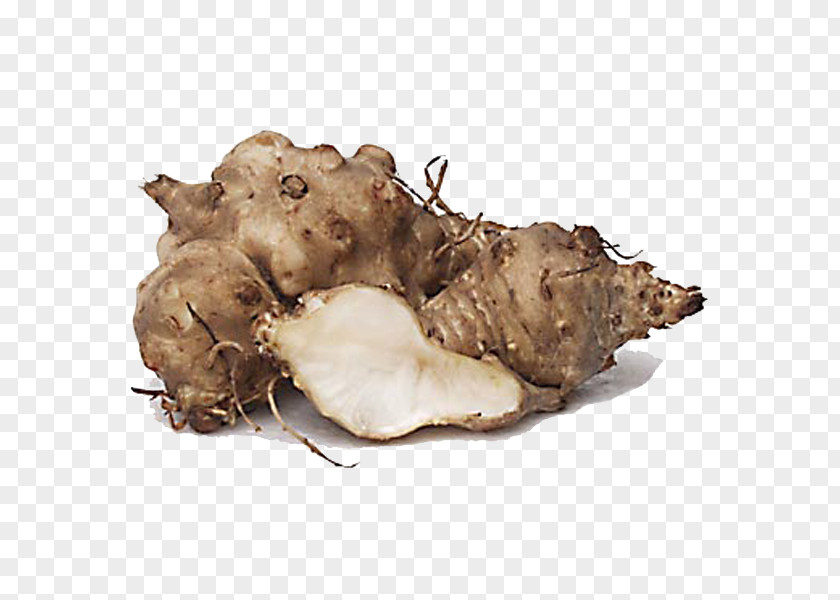 Jerusalem Artichokes Transparent Images Artichoke Common Sunflower Vegetable Tuber PNG