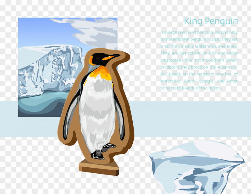Penguin Brand PNG