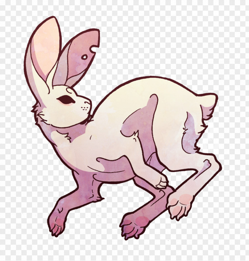White Rabbit Hare Domestic Animal Newfoundland Dog PNG