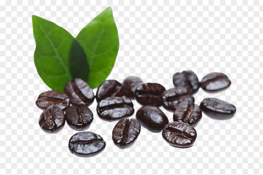 Coffee Beans Arabic Cafe Bean PNG