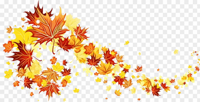 Flower Maple Autumn Leaf PNG