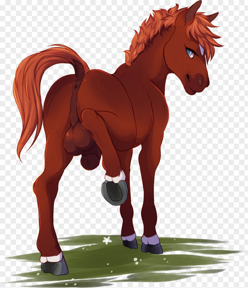 Mustang Mane Colt Stallion Mare PNG