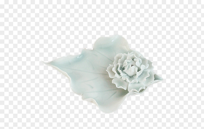 White Lotus Porcelain Flower Photography PNG