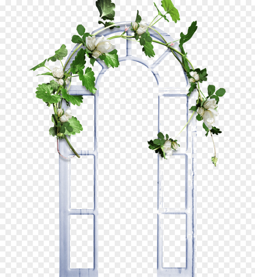 Arch Design Material Window Green Designer PNG