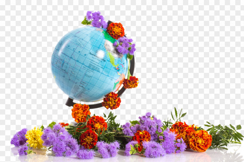 Flowers On A Globe School Teacher Lesson Clip Art PNG