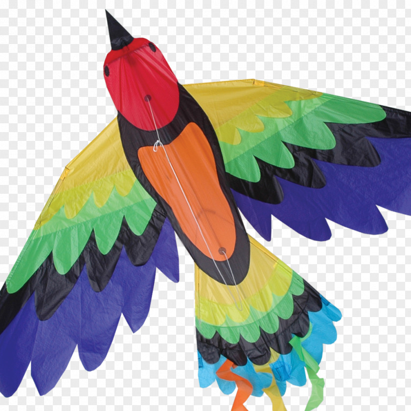 Kite Bird Sport Flying Orange Game PNG